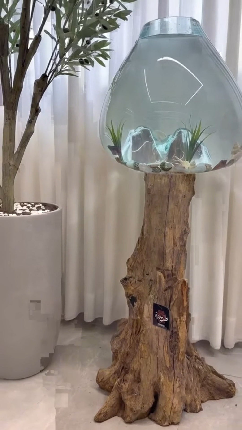Triple Melted Glass Bowl on Driftwood