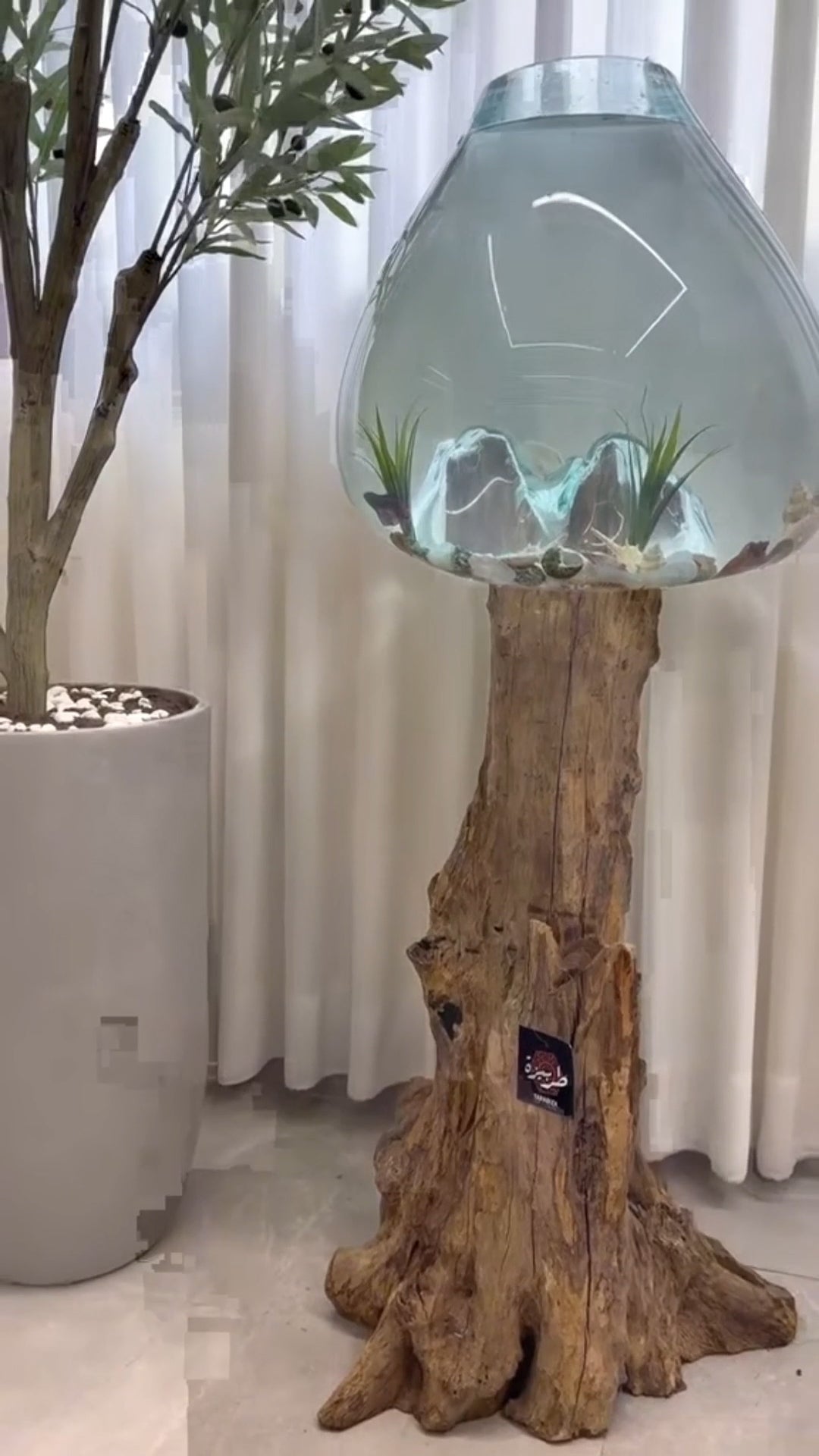Triple Melted Glass Bowl on Driftwood
