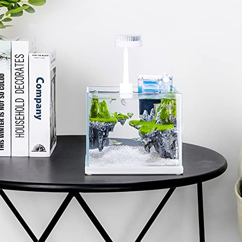 Mini Aquarium Complete Set with hang on back filter and light
