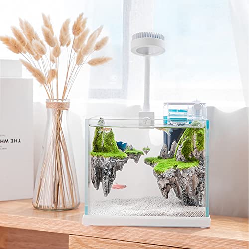 Mini Aquarium Complete Set with hang on back filter and light