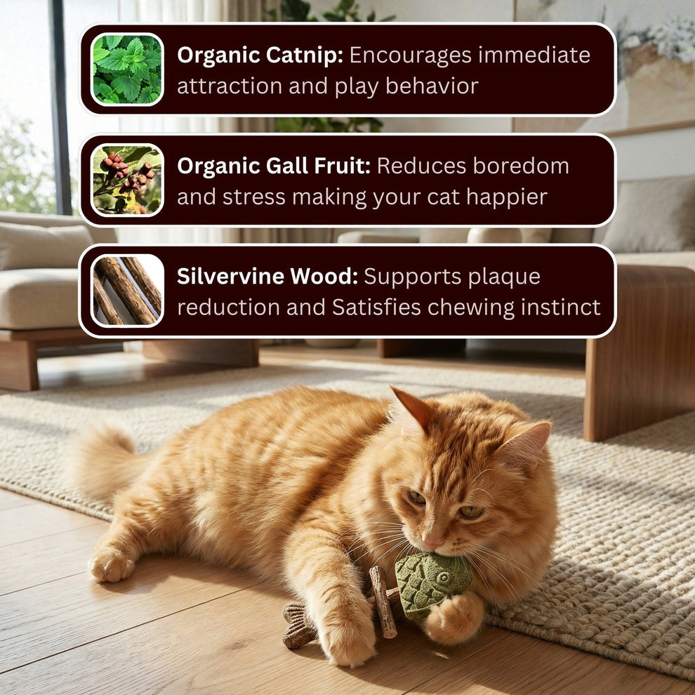 2pcs Catnip & Silvervine Chew