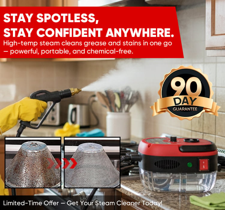 Professional 2500W High-Temperature Portable Handheld Steam Cleaner