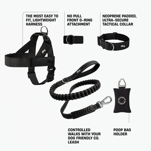 Dog Harness