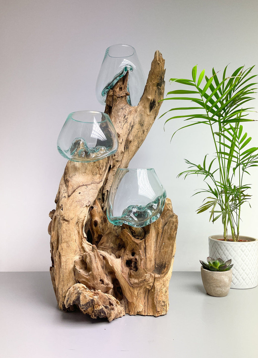 Triple Melted Glass Bowl on Driftwood